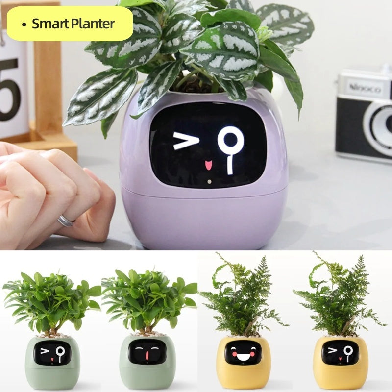 Ivy - Smart Pet Planter