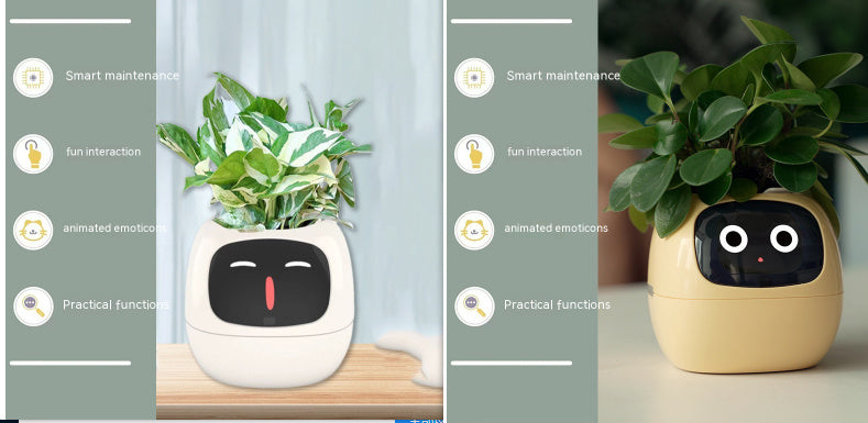 Ivy - Smart Pet Planter