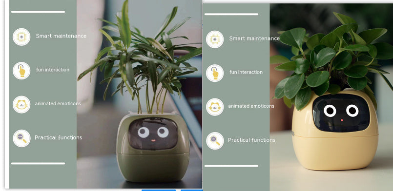 Ivy - Smart Pet Planter
