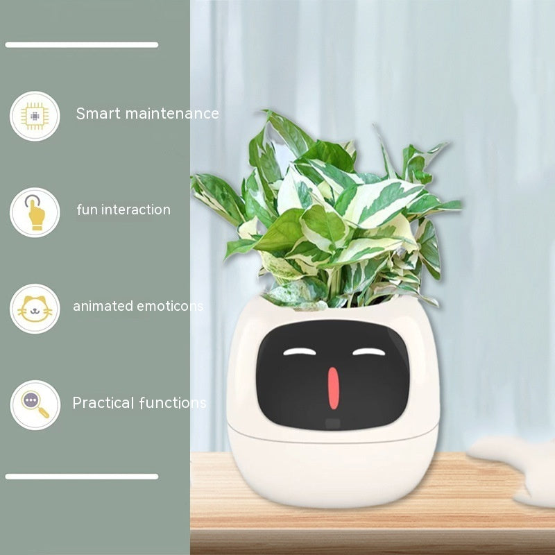 Ivy - Smart Pet Planter