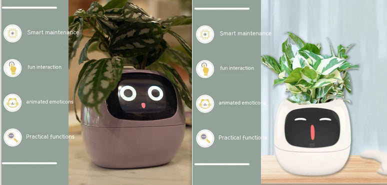Ivy - Smart Pet Planter
