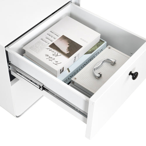 Steel Cabinet with 2 Drawers - Circular Handle