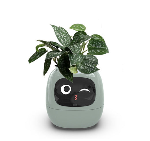 Smart Planter - We-Cart.store
