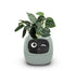 Smart Planter - We-Cart.store